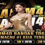 Hakim4D-Is-the-Top-Choice700x428