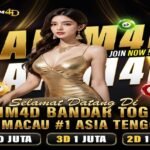 hakim4d Situs Toto