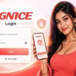 HgNice